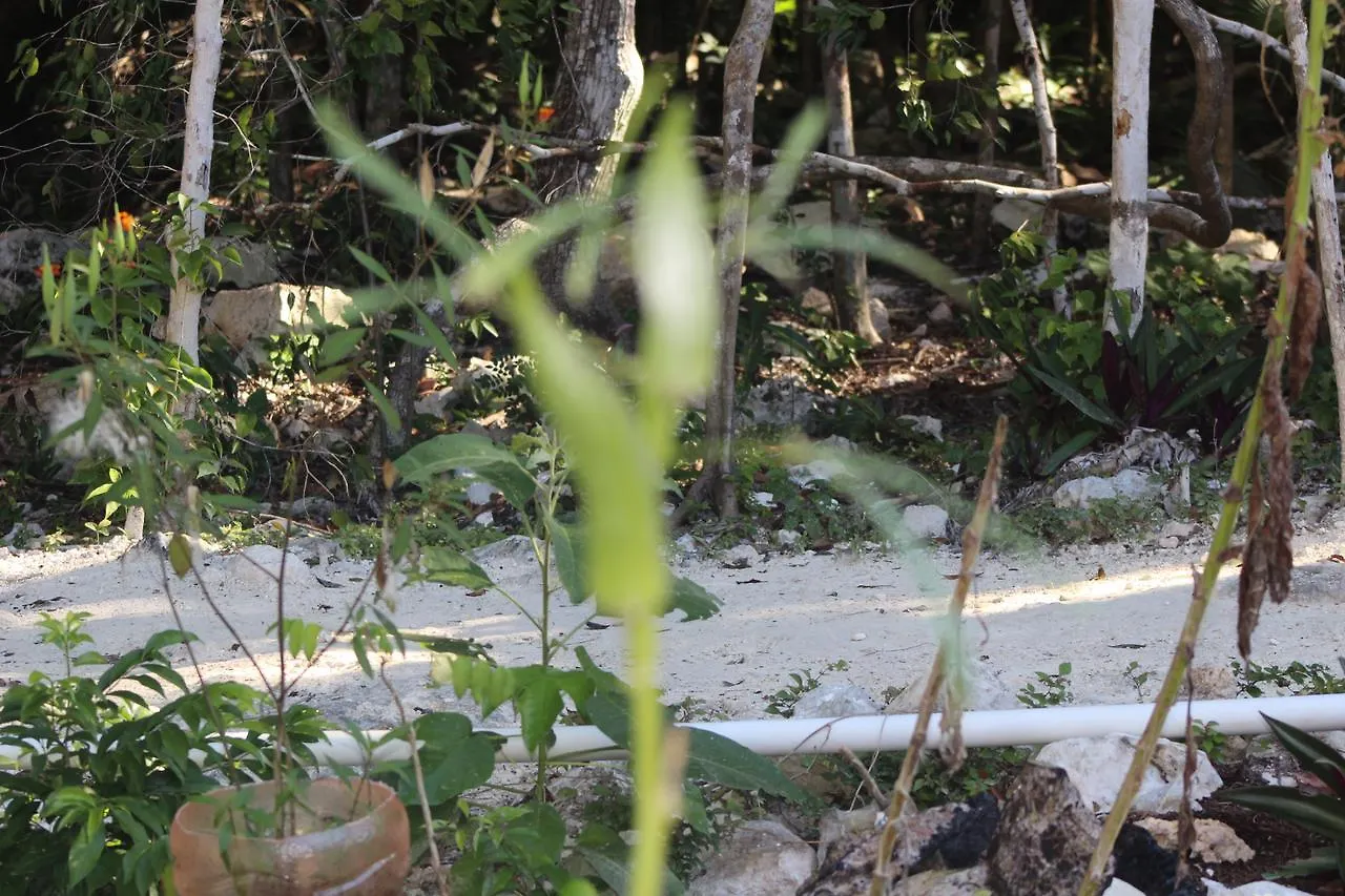 Kemping Stage One Camping Hotel Tulum