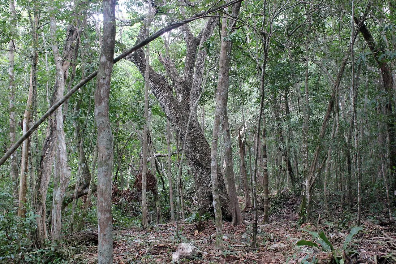 Kemping Stage One Camping Hotel Tulum Mexikó