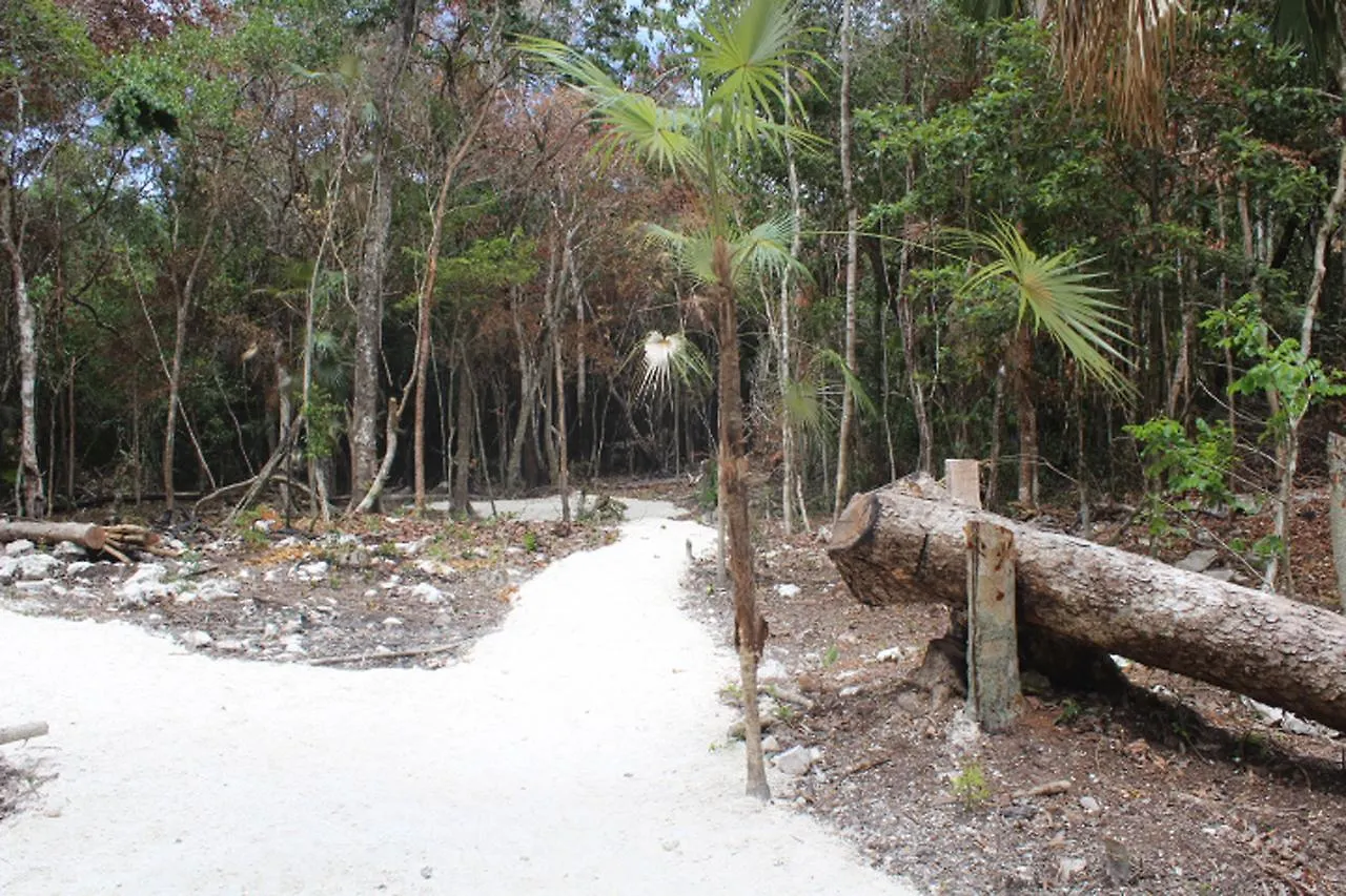 Kemping Stage One Camping Hotel Tulum Mexikó
