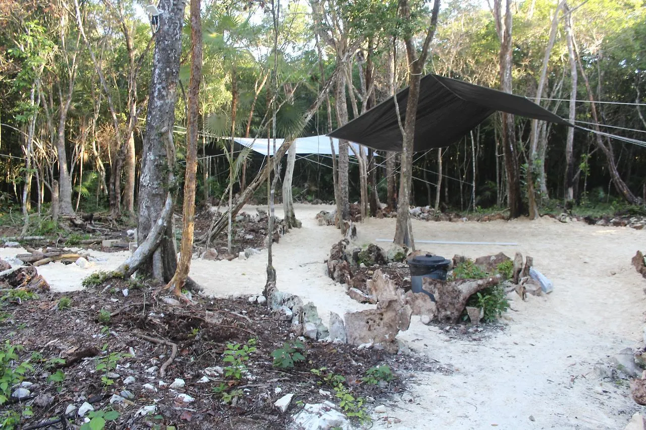 Stage One Camping 호텔 툴룸 캠프장