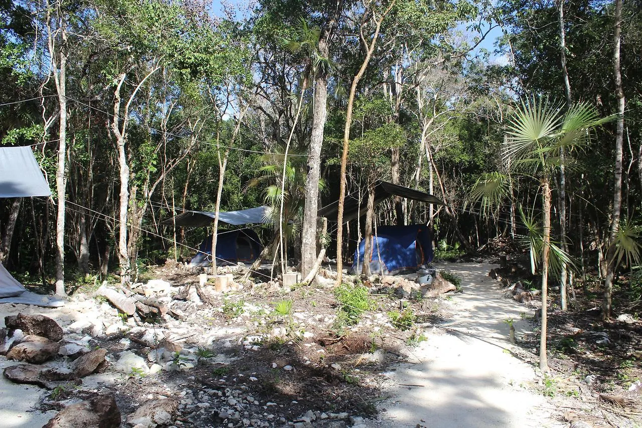 Stage One Camping 호텔 툴룸